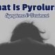 What Is Pyroluria (Pyrrole Disorder)?